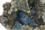 Blue Cubic Fluorite on Quartz - China #128573-3